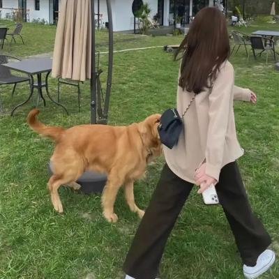 征婚广告